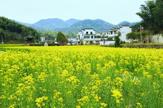 除了娶妻难外，农村又出现了8大现象，村村都有，看你村占几条