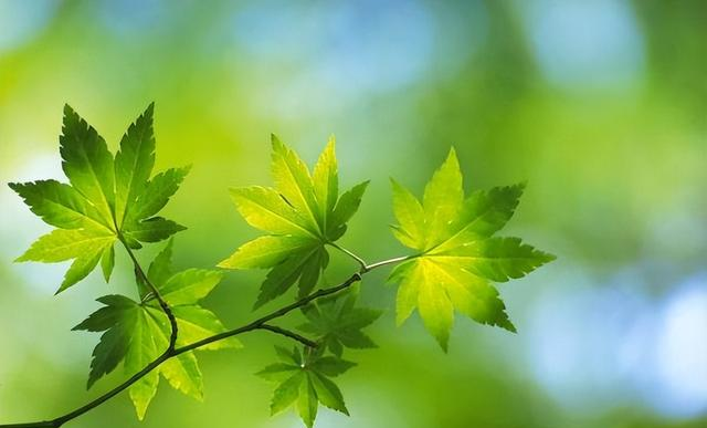 富养自己，其实是从五十岁开始的，可惜很多人不明白