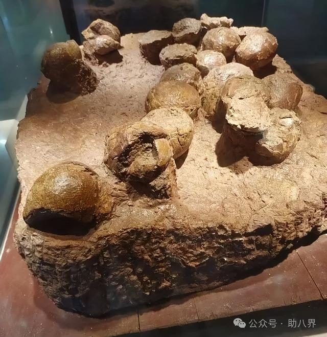 广东惠州十大打卡地（研学版）