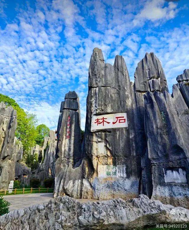 被世界推荐的旅游圣地~西双版纳之行随想