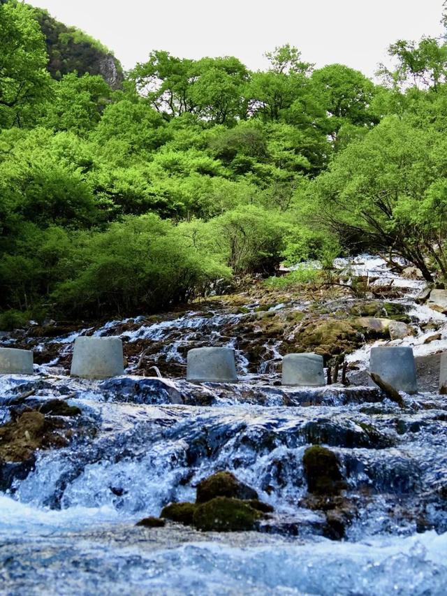 热热热，茂县松坪沟自带降温“凉”方！