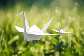 发圈触动心弦的精选句子，惹不起我的人，最好别惹！图片