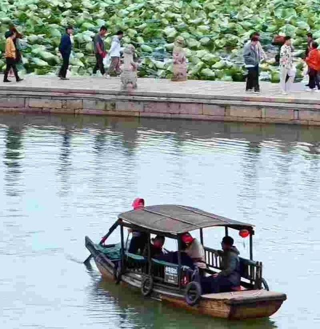 我是郑州人，去了趟甘肃兰州，不吹不黑，兰州比网上平价的还要好