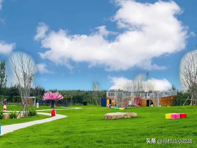 山东滨州保姆级攻略，藏在鲁北的宝藏小城太好逛了！