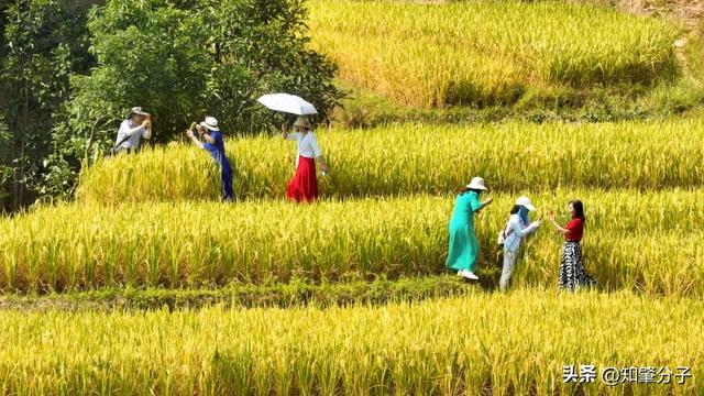 肇庆这里藏着“梯田胜境”，美得不像话！