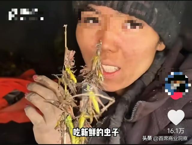 狂揽50亿流量！从低调景区到全网打卡地	，这个流量密码藏不住了