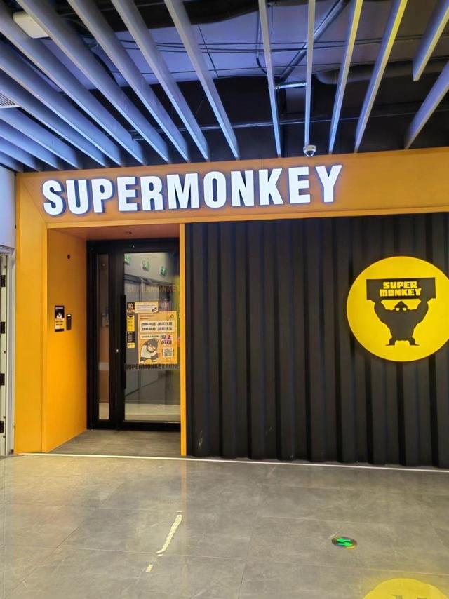 2026 四类瘦身塑形产品横向评测：懒人体型管理必须知道的产品