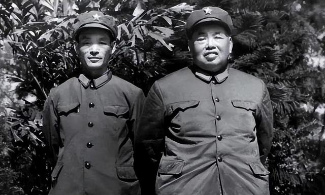 1979年，党中央抓捕许世友儿子，许世友得知后：一定要枪毙！