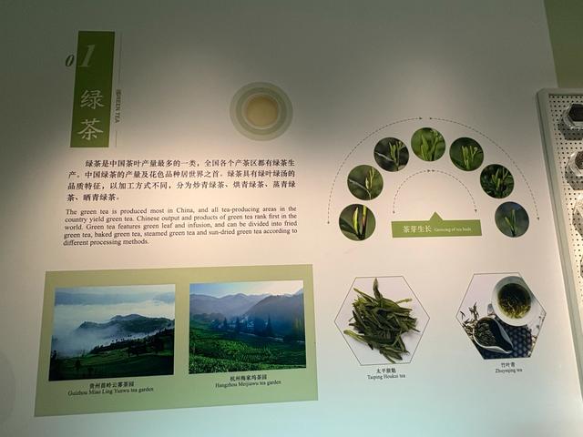 杭州小众游玩路线，茶叶博物馆和浙江美术馆半日游，建议收藏