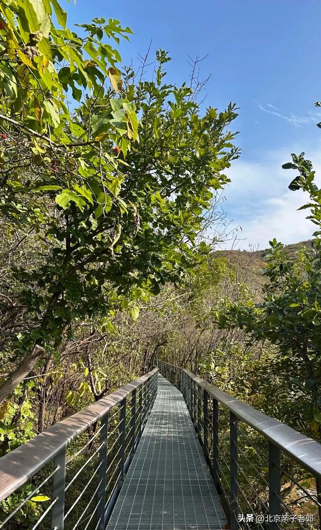 西山国家森林公园 一日赏尽红叶与京城夜景