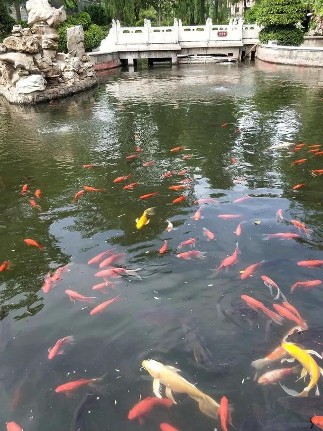 去了趟河北正定，真心建议：不要随便去河北正定，除非你知道这些