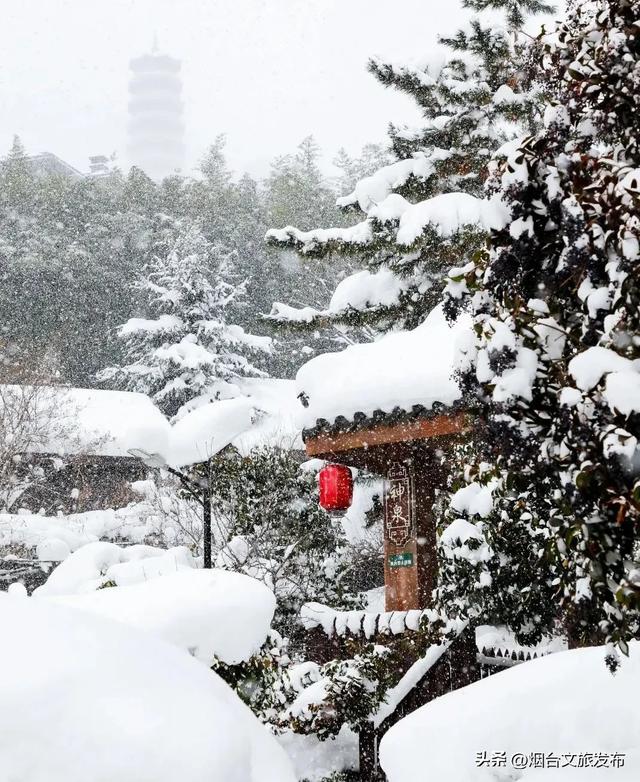 雪雪雪雪!烟台高热玩法攻略来了!