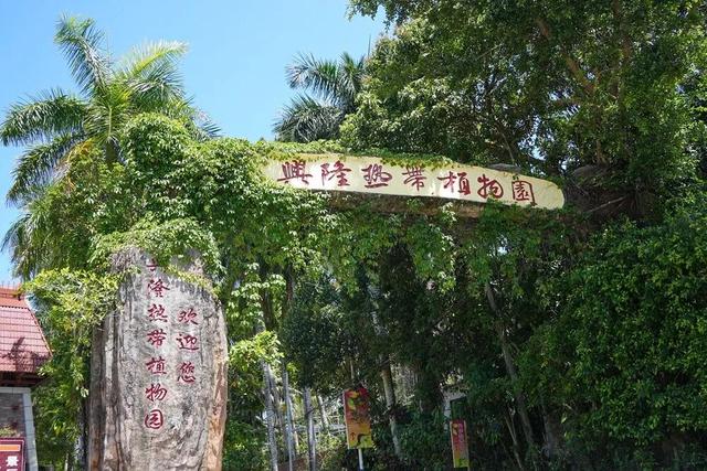 来万宁赴一场25℃的暖阳之约