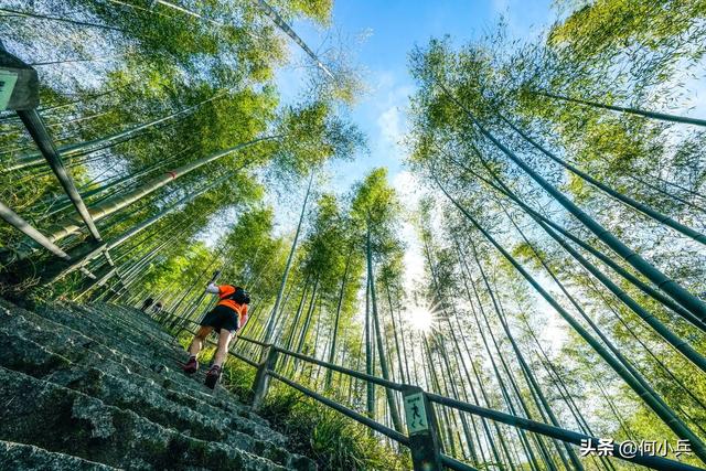 宜兴阳羡100越野赛10个亮点！把秋日顶配风光都塞进赛道里了