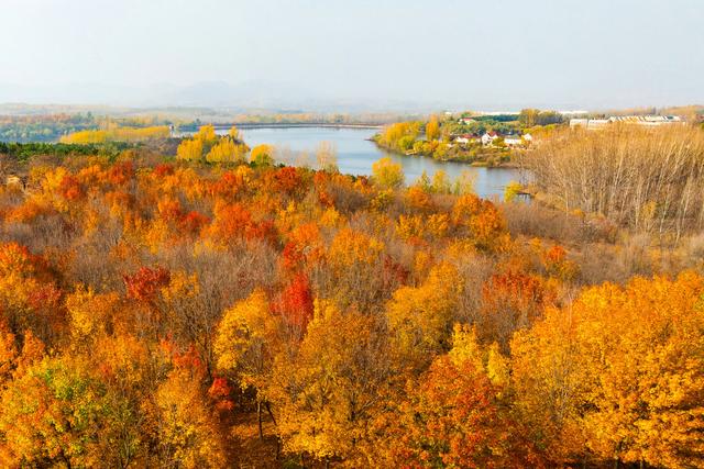 泗水县万紫千红旅游区：静谧而斑斓的生态画卷
