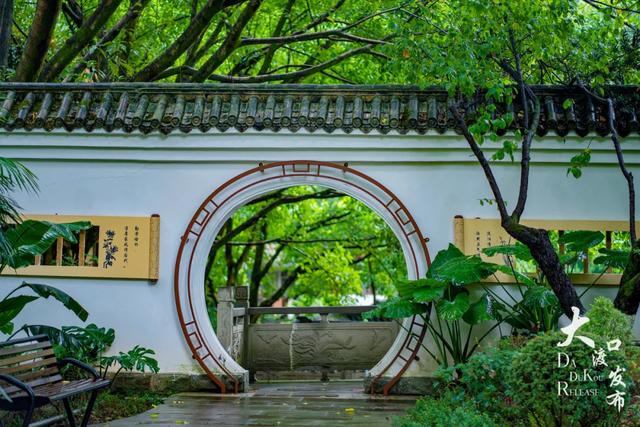 下雨天，大渡口这些地方美成「烟雨江南」，快去拍！