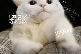 骨折后，三分治，七分练！4个锻炼动作，让上肢加速康复图片