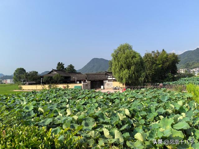 近代中国睁眼看世界第一人（走进中国近代启蒙思想家魏源故里）