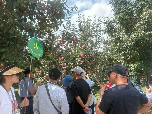 “环西部火车游·崆峒号”再启九月白露康养之旅
