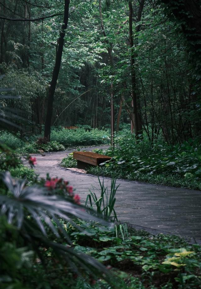 好消息，宿迁又一免费新公园，火了！好玩又好逛，去了，还想去！