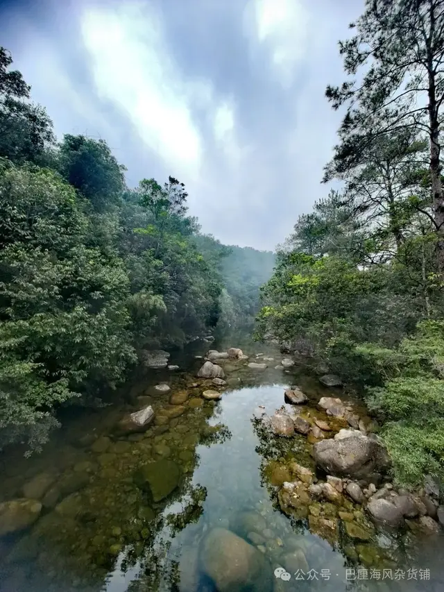 直下高原去海南（2）令人失望的十万大山国家森林公园