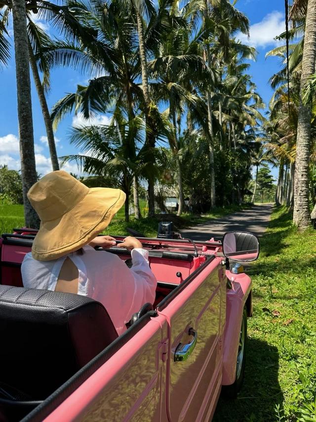 刚回来！巴厘岛6天5晚旅游攻略，全程专车接送，跟着玩就对了！