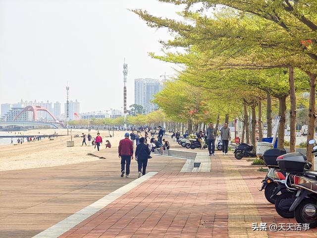 北海最美的环半岛慢行绿道迎来第一春，美爆了！