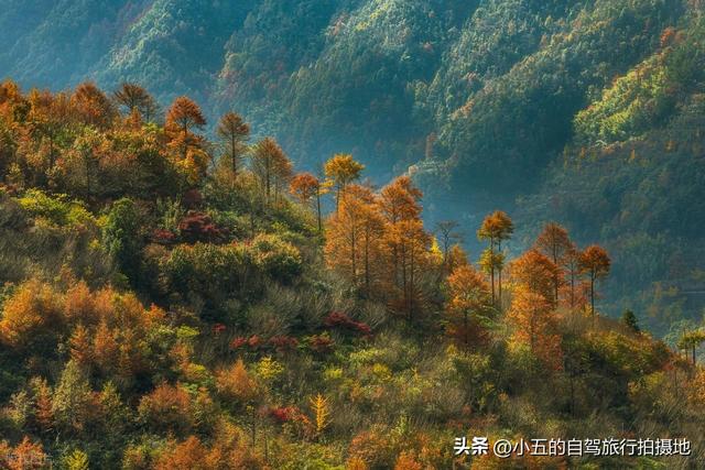 江浙沪秋季徒步攻略｜6 条绝美秋叶路线，新手进阶全覆盖