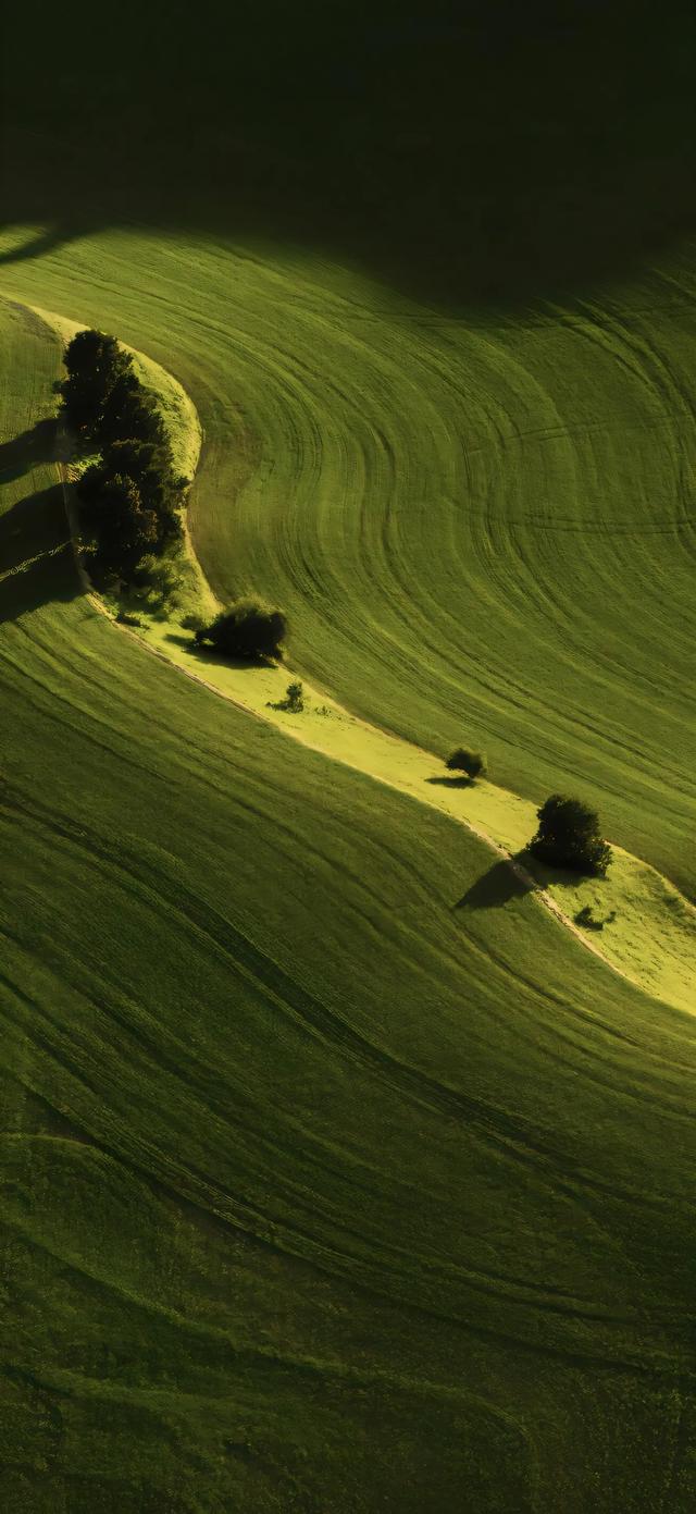 风景壁纸已送达