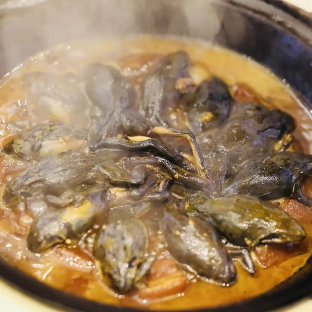 解锁长春冬天N种玩法！这才是滑雪后的正确打开方式