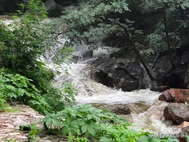 泰山雨后云雾织仙境！泼墨山水里藏着夏日最治愈的奔赴