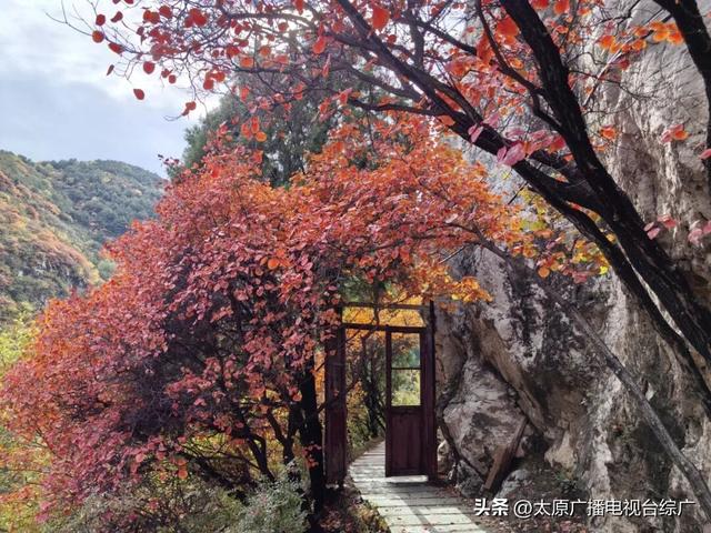 寻迹尖草坪丨初冬限定！这6处绝美风景，再不去真的要等一年！