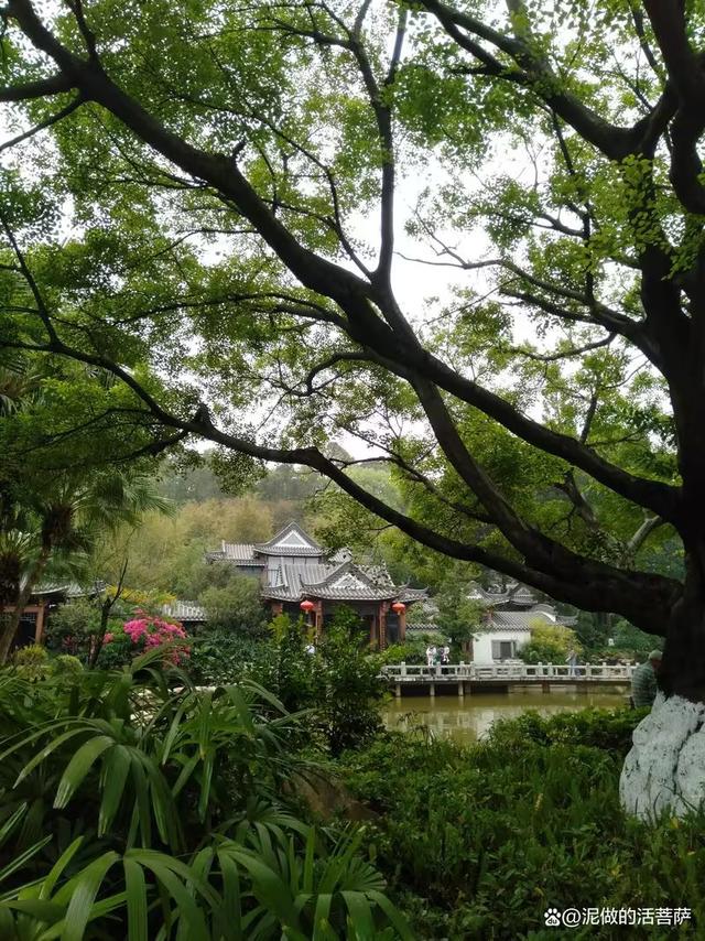 又来广东之一百零四 东莞篇之二 旗山公园
