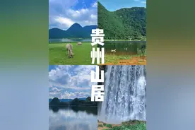 钻进贵阳的山野秘境“森”呼吸图片