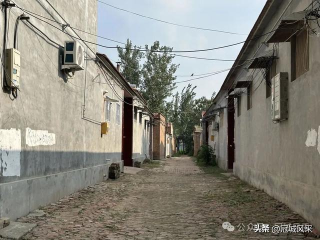 冠县乡韵·辛集镇丁刘八寨