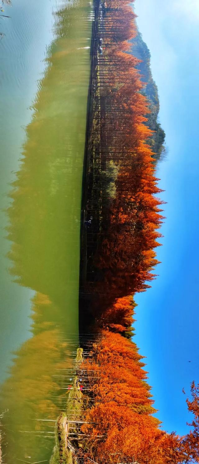 杉 杉 来 了 🤗🧣🧡