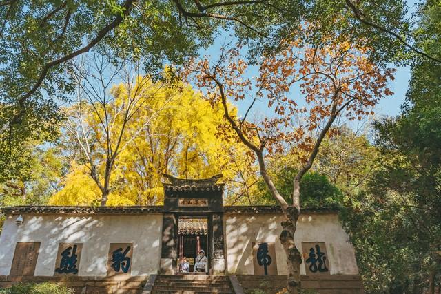 洛阳的秋天在这里封神！3条禅意路线，最后一条让摄影师舍不得走