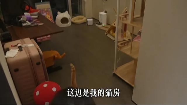 千万女网红晒310平豪宅，冰箱40万马桶10万，创业十多年也才30岁