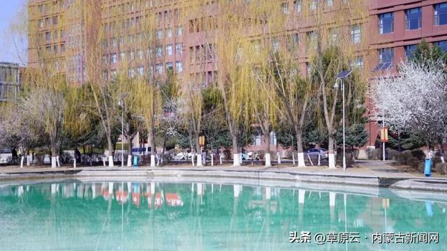 呼和浩特赏花攻略：最佳地点+公交出行指南