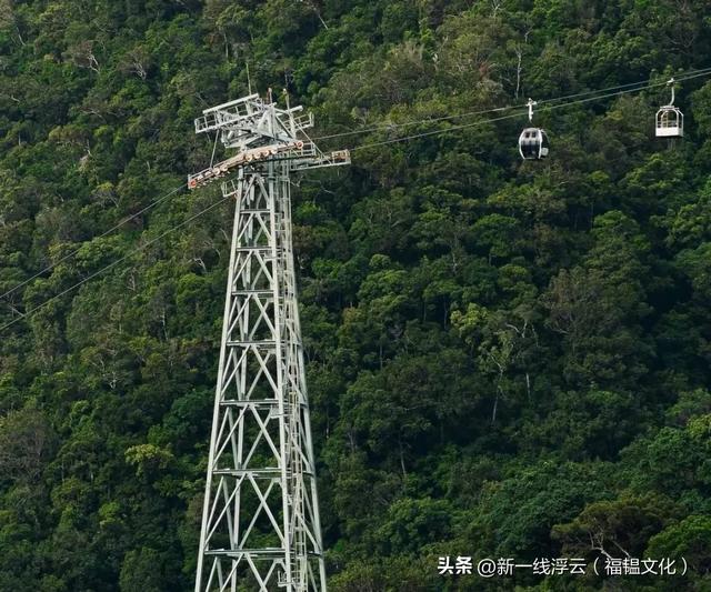 “哈儿山”停业、索道落地:南山正在又“破”又“立”?