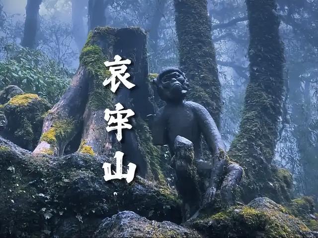 解放军在云南原始森林，发现一群男女	，他们住草棚靠野果捕猎为生