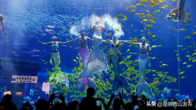 @外地人，不用找了！来昆明旅居锁死西山这三大片区