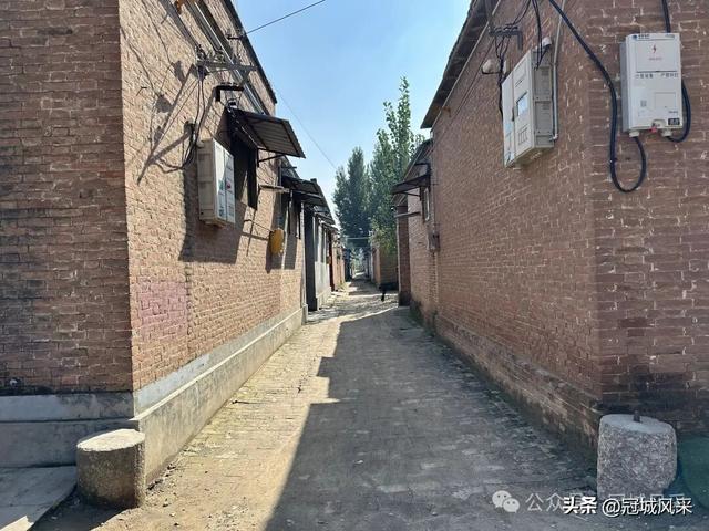 冠县乡韵·兰沃乡大柳邵村