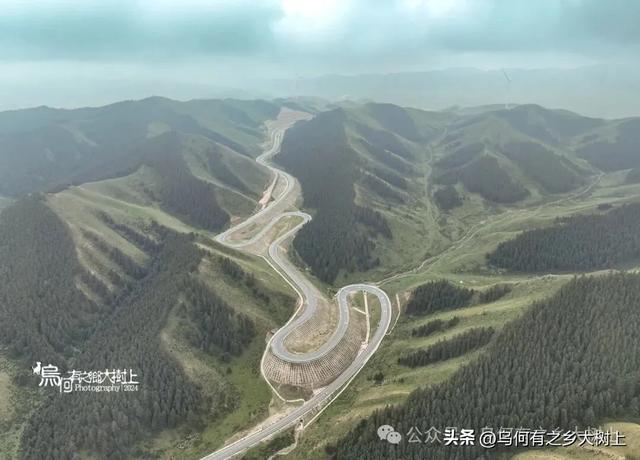 沿着338国道，从古浪县进入天祝县藏区，山谷里全是牦牛