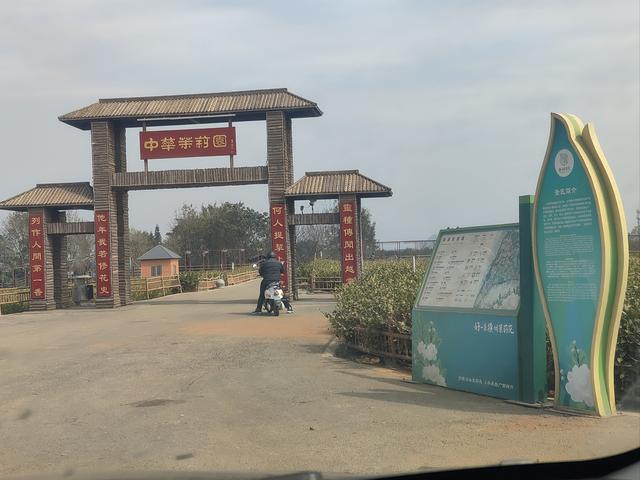 广西有哪些县级市？