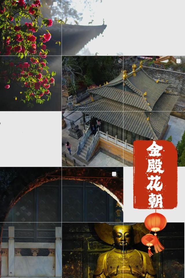 2026年第十届金殿花朝盛会如约而至！