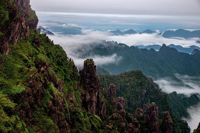 世界自然遗产、物种基因库、北纬31°绿色奇迹——神农架旅游攻略