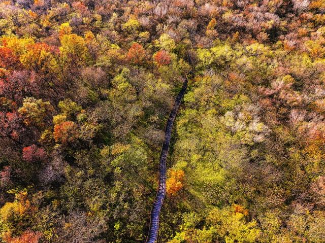 免费打卡明光女山,人少景美超级治愈~