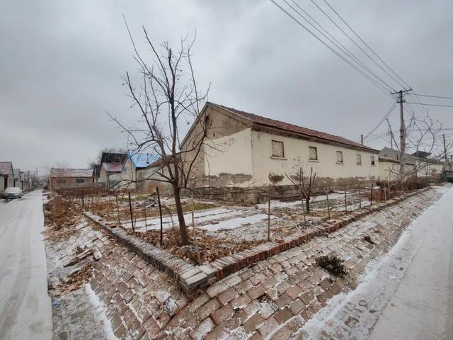 雪中探访德州城南村庄——三七村，一个跟中草药没有关系的村庄
