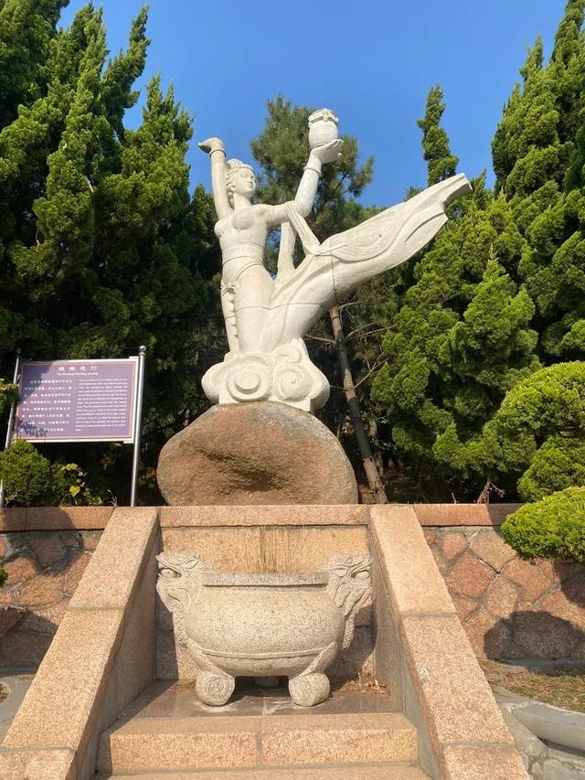 山东荣成：天鹅与海鸥齐飞，这座低调滨海城，藏着北纬37°的浪漫